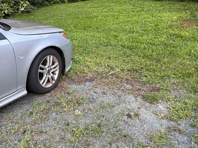 Lawn Care service in Fort Washington, 23936