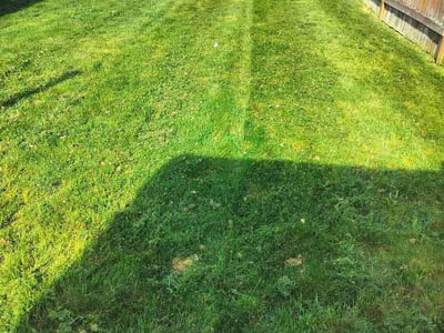 Lawn Care service in Marysville, 98270