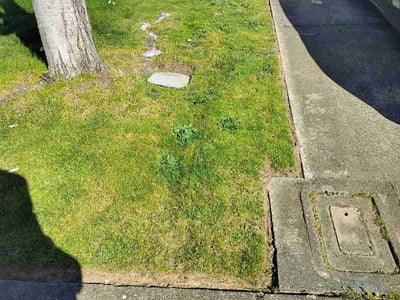 Lawn Care service in Marysville, 98270