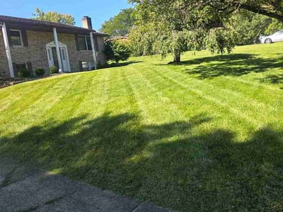 Lawn Care service in Steubenville, 43952