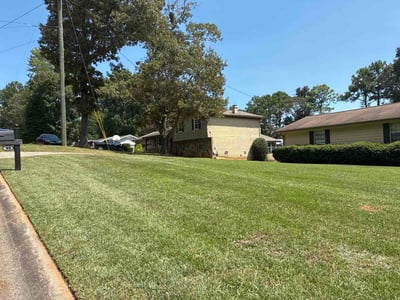 Lawn Care service in Grass Valley, 95945