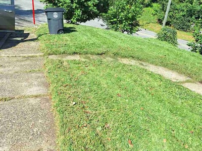 Lawn Care service in Steubenville, 43952