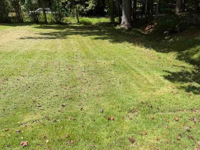 Lawn Care service in Brookhaven, 30319