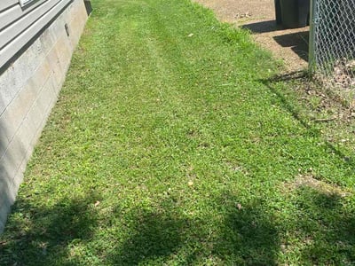 Lawn Care service in Grass Valley, 95945