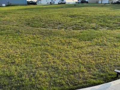 Lawn Care service in Snohomish, 98290