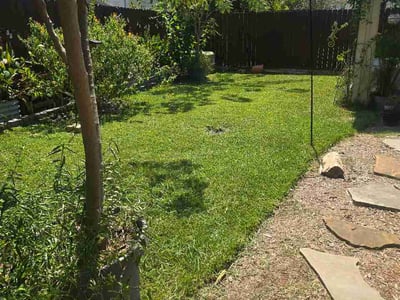 Lawn Care service in Sugar Land, 77479