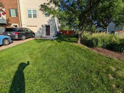 Lawn Care service in Stafford, 22554