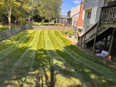 Lawn Care service in Herndon, 20170