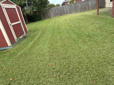 Lawn Care service in League City, 77573