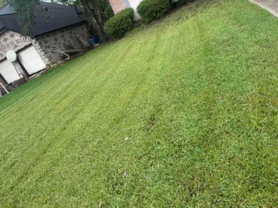 Lawn Care service in League City, 77573