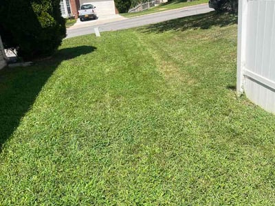 Lawn Care service in Chantilly, 20151
