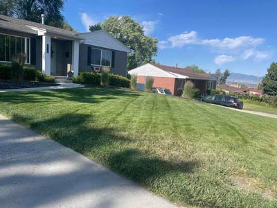 Lawn Care service in Sandy, 84092