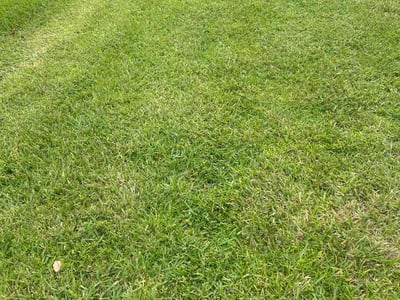 Lawn Care service in Augusta, 04330