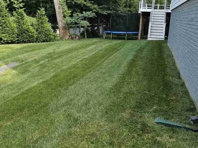 Lawn Care service in Front Royal, 22630