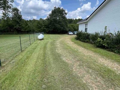 Lawn Care service in Smithfield, 27577
