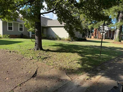 Lawn Care service in ,