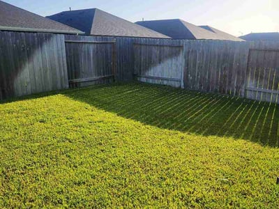 Lawn Care service in Rosharon, 77583