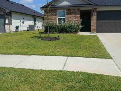 Lawn Care service in Rosharon, 77583