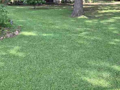 Lawn Care service in Hartselle, 35640