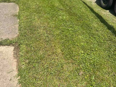 Lawn Care service in Bellefonte, 16823