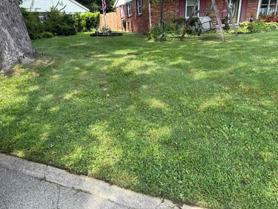 Lawn Care service in Bellefonte, 16823