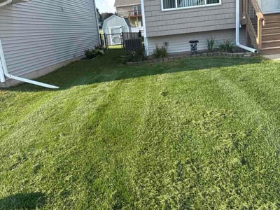 Lawn Care service in Iowa City, 52240
