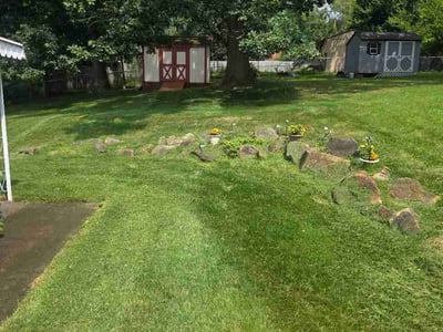Lawn Care service in Valencia, 16059