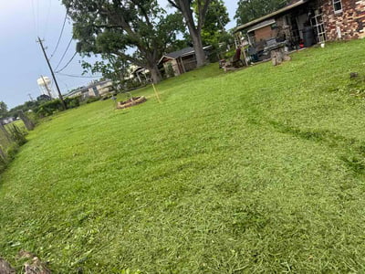 Lawn Care service in Deer Park, 77536