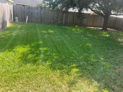 Lawn Care service in Deer Park, 77536