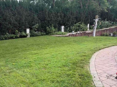 Lawn Care service in Marion, 62959