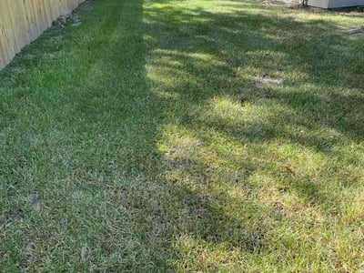 Lawn Care service in Brazoria, 77422