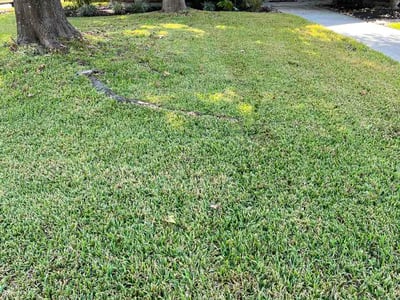 Lawn Care service in Oregon City, 97045