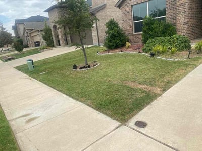 Lawn Care service in River Oaks, 76114