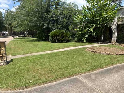 Lawn Care service in Kingwood, 77339