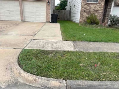 Lawn Care service in La Marque, 77568
