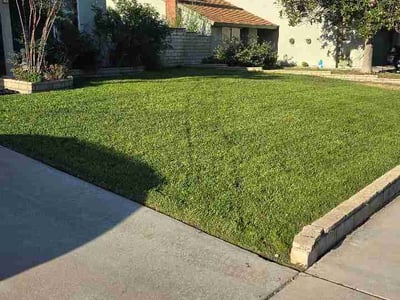 Lawn Care service in Chino, 91710