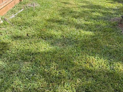 Lawn Care service in La Marque, 77568