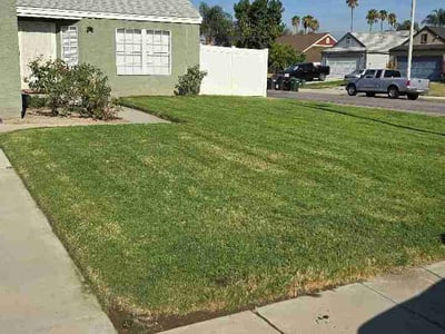 Lawn Care service in Colton, 92324