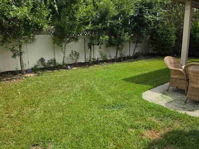 Lawn Care service in Kingwood, 77339