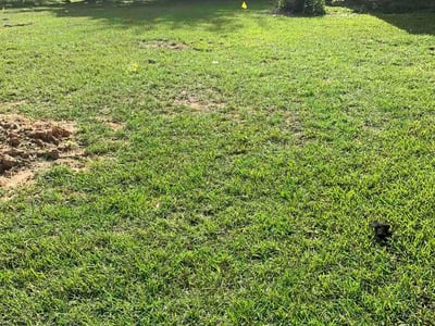 Lawn Care service in Flower Mound, 75022