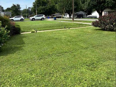 Lawn Care service in Bowling Green, 42101