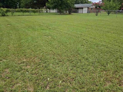 Lawn Care service in Dothan, 36301