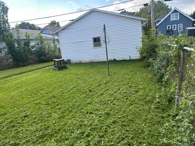 Lawn Care service in Menasha, 54952