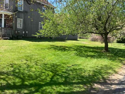 Lawn Care service in Taunton, 02780