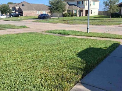 Lawn Care service in Rosenberg, 77471