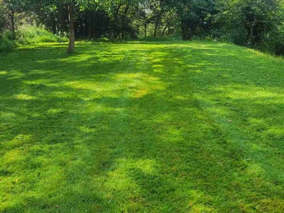 Lawn Care service in Cranberry Twp, 16066