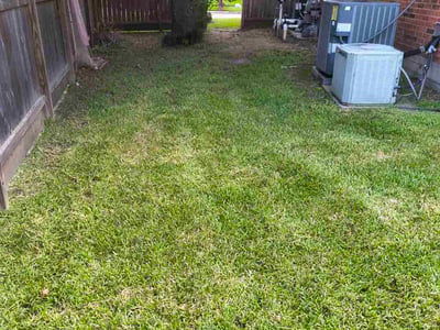 Lawn Care service in Laredo, 78040