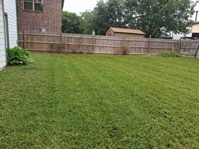 Lawn Care service in Live Oak, 78233