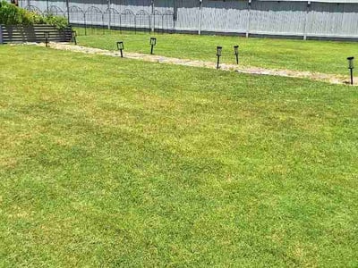 Lawn Care service in Live Oak, 78233