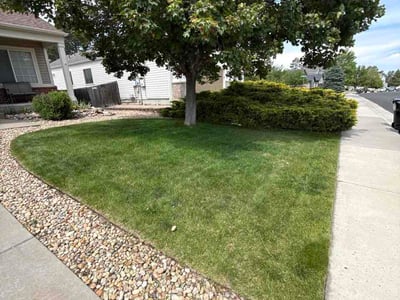 Lawn Care service in Pueblo, 81003